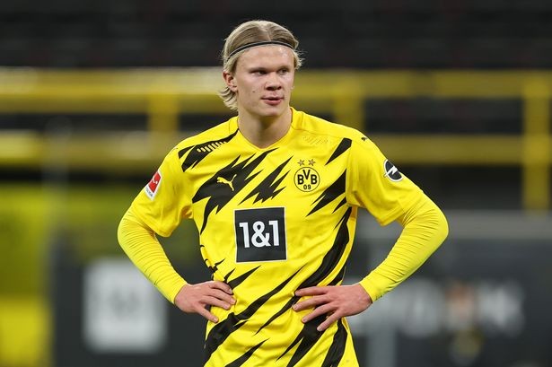 速生速朽 速生速朽